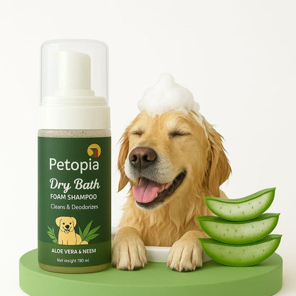ALOE VERA DRY BATH FOAM SHAMPOO